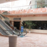 Greenery in Sunland Park Mall